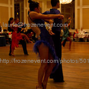 20111218_img_7581_24_wildfalcon_76c9f