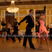 20111218_img_7712_60_wildfalcon_76c9f