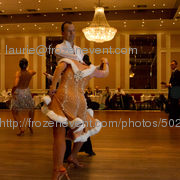 20111218_img_7610_32_wildfalcon_76c9f