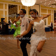 20111218_img_7522_14_wildfalcon_76c9f