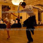 20111218_img_7661_47_wildfalcon_76c9f