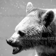 Img_7570