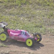 F2_rosignano011