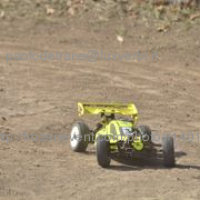 F2_rosignano021