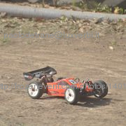 F2_rosignano024