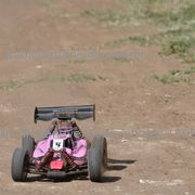 F2_rosignano029