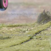 F1_finale055