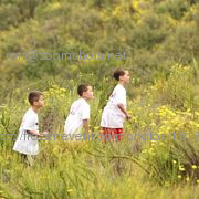 Img_0181